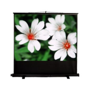 Floor Stand Projector Screen