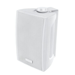 Ahuja  PS300TM 10 Watt Speaker, Multicolor