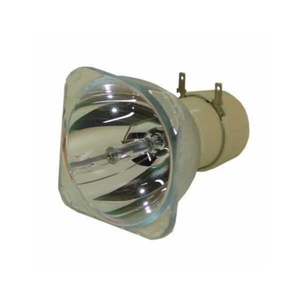 Benq W1060 DLP Projector Lamp