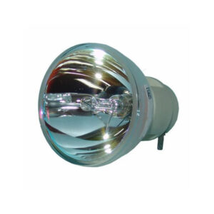 Benq W600 Projector Lamp